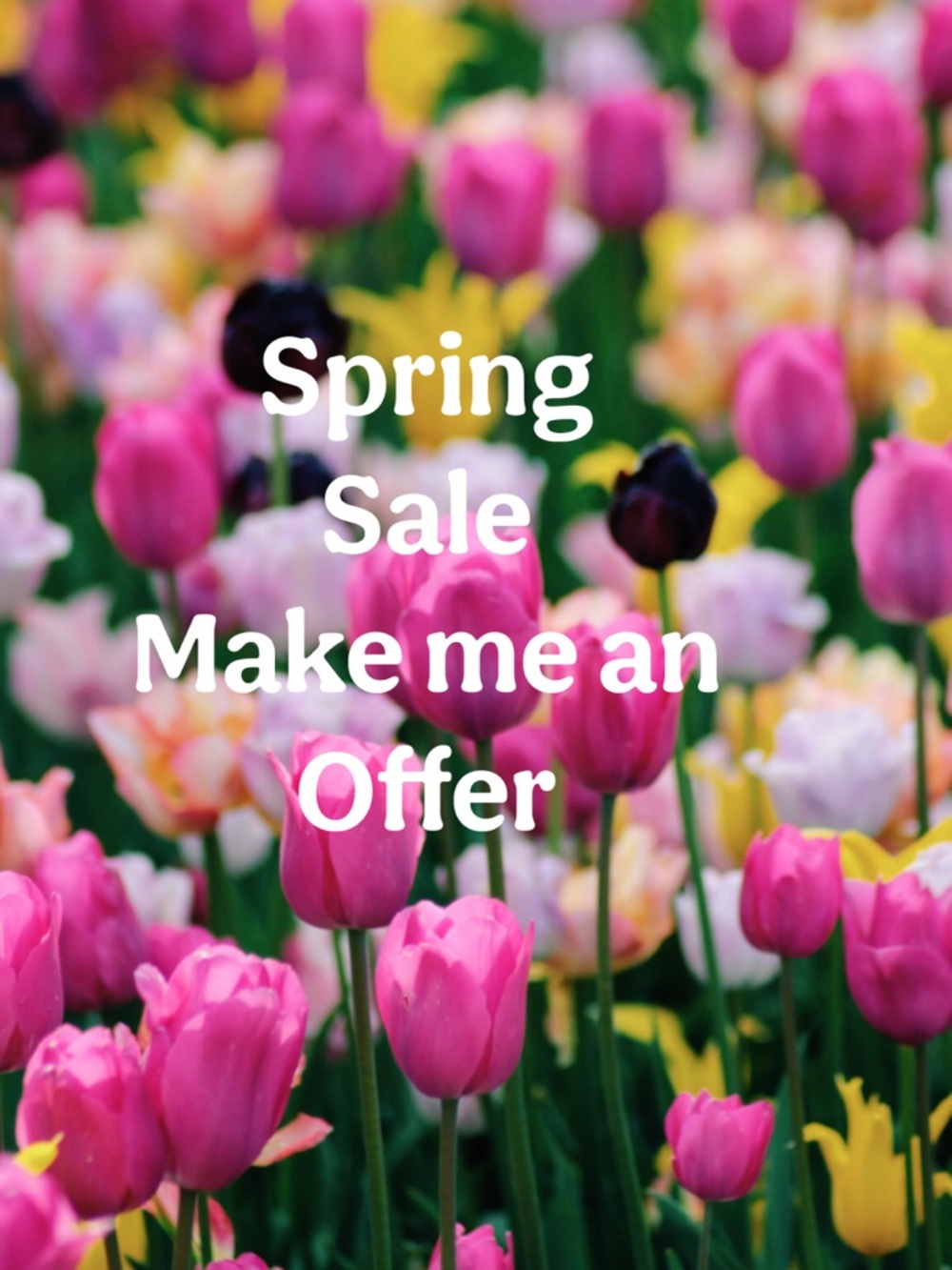 Spring Sale 
Make me an offer
